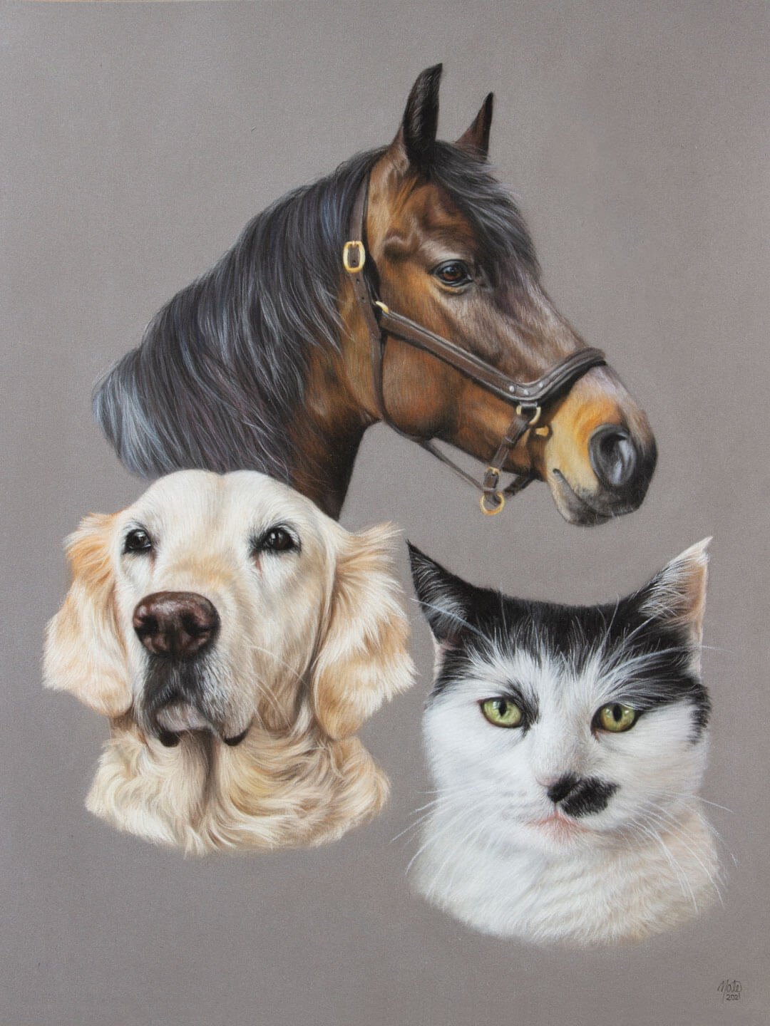 Galleri - Se tegninger af heste, hunde og andre dyr | Mate