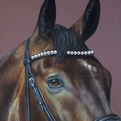 Tegning af hest med Swarovski sten på pandebåndet